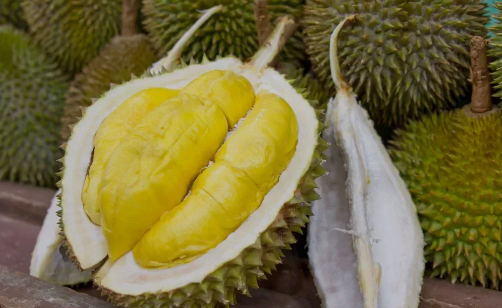 Durian Durian